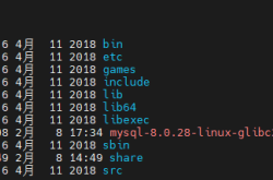 MySQL8.0.28数据库安装和主从配置说明