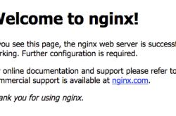 Mac系统下搭建Nginx+php-fpm实例讲解