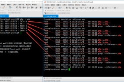 php 多进程编程父进程的阻塞与非阻塞实例分析