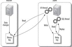 MySQL同步数据Replication的实现步骤