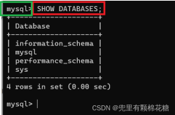 【MySQL基础|第一篇】——谈谈SQL中的DDL语句