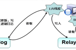 Mysql主从复制和读写分离