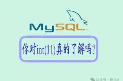 你对MySQL的int(11)真的了解吗？