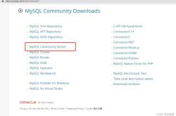 Windows下mysql 8.0.29 winx64安装配置方法图文教程