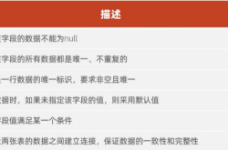 MySQL六种约束的示例详解(全网最全)