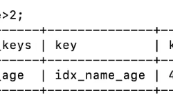 MySQL查询性能优化索引下推