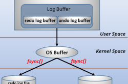 MySQL事务日志(redo log和undo log)的详细分析