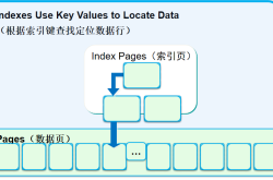 MySQL事务视图索引备份和恢复概念介绍