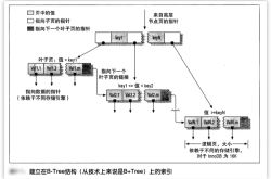 浅析MysQL B-Tree 索引