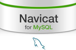 Navicat for MySQL 11注册码\激活码汇总