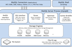 MySQL的查询缓存和Buffer Pool