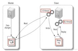 MySQL配置主从服务器(一主多从)