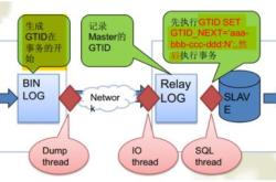 MySQL示例DTID主从原理解析