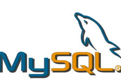 MySQL中order by的使用详情