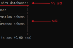 MySQL 数据库的对库的操作及其数据类型