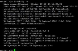 Linux网络启动问题：Device does not seem to be present解决办法