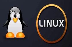 Linux 进程编程入门