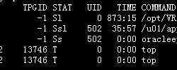 Linux下如何查杀stopped进程详解