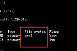 Linux查看分区文件系统类型的方法总结