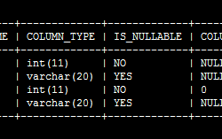 Mysql中的NULL和Empty String