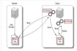 MySQL主从原理及配置详解