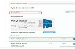 mysql 8.0.12 winx64详细安装教程