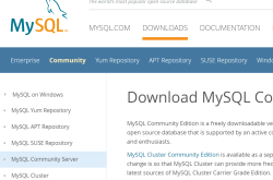 Mysql 8.0安装及重置密码问题