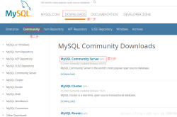 Windows下mysql 8.0.12 安装详细教程