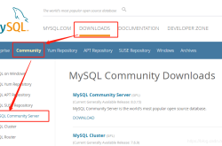 mysql 8.0.15 下载安装详细教程 新手必备!