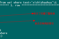 Mysql开启慢SQL并分析原因