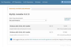 MySQL Server 8.0.13.0 安装教程图文详解