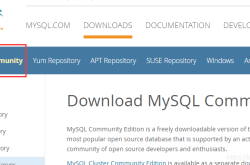 windows下mysql 8.0.15 详细安装使用教程