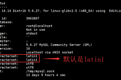 Linux中修改mysql默认编码的方法步骤