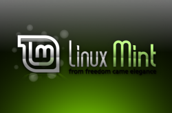 你需要知道的关于 Linux Mint 的一切