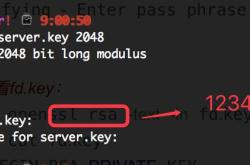 使用openssl 生成免费证书的方法步骤