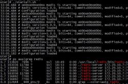 Linux(Centos7)下redis5集群搭建和使用说明详解