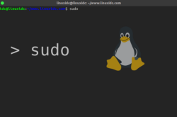 Linux 中不输入密码运行 sudo 命令的方法