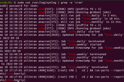 如何在 Linux 中检查 Crontab 日志