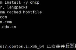 Linux搭建DHCP服务器的详细过程