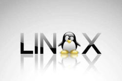 Linux常用高频命令