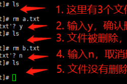 Linux rm命令详解 Linux删除文件目录的操作方法