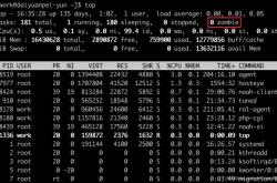 linux如何查看僵尸进程