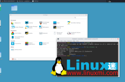 Whonix Linux：实现终极在线匿名的关键