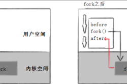 Linux进程控制及程序替换