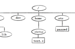 Linux 入门：基本指令