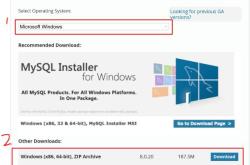 Win10下mysql 8.0.20 安装配置方法图文教程