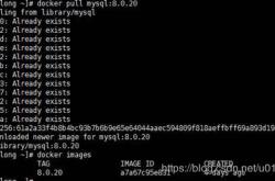 docker下mysql 8.0.20 安装配置方法图文教程